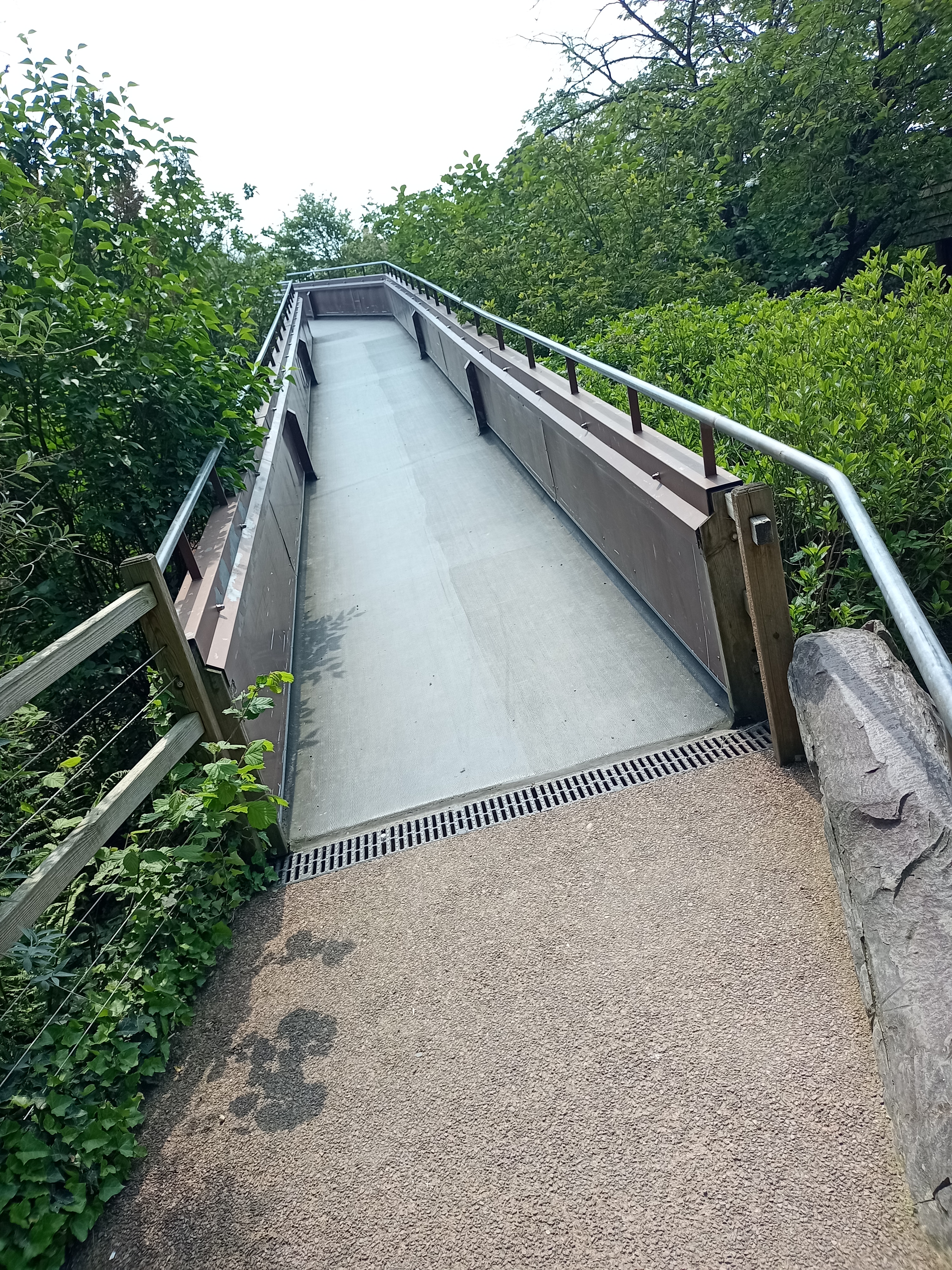 Photo n° 1 de l'avis de Thierry. fait le 20/05/2023 à 17:21