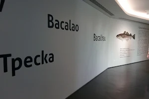 Museu Marítimo de Ílhavo e Aquário dos Bacalhaus image