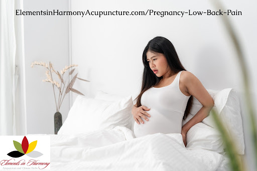 Elements in Harmony Acupuncture and Chinese Herbs image