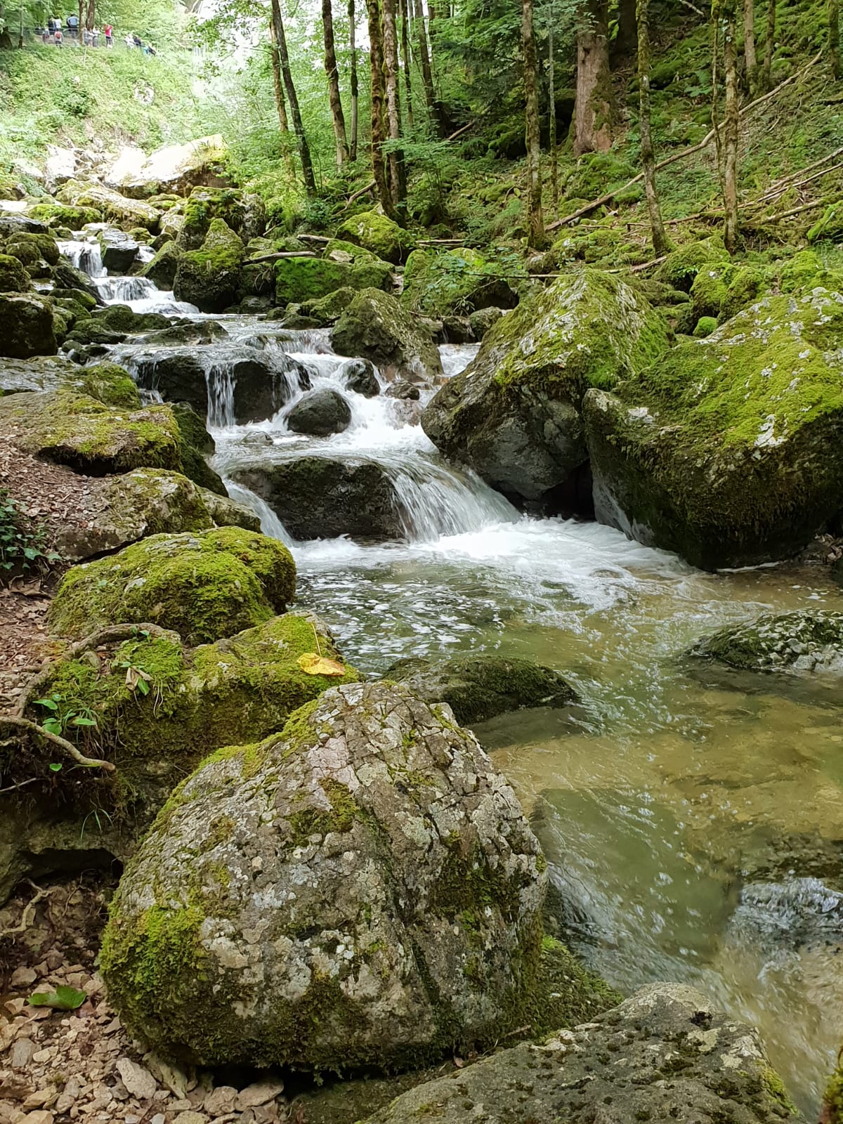 Photo n° 5 de l'avis de totof.h fait le 22/08/2019 à 14:27