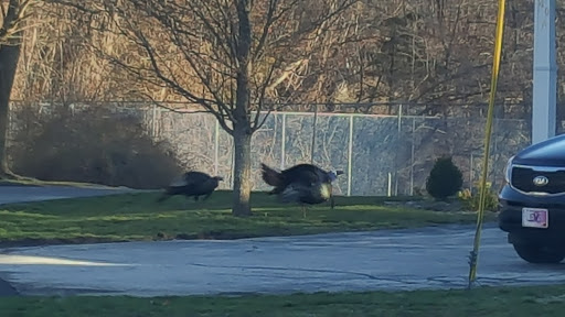 Golf Club «Louisquisset Golf Club», reviews and photos, 1 Overlook Pkwy, North Providence, RI 02904, USA