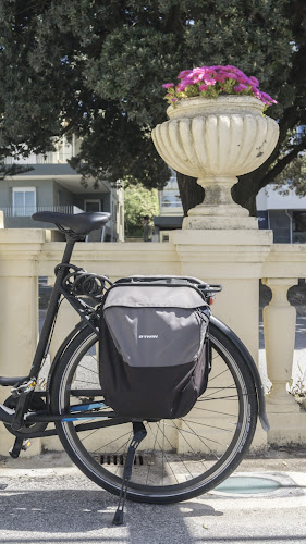 Biclas & Triclas - Porto Bike Tours and Rentals Número de telefone