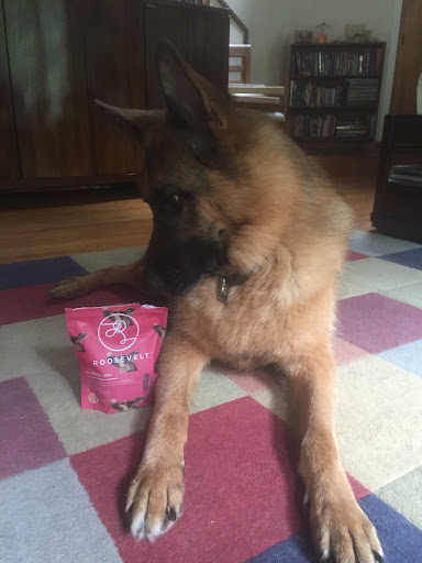 Pet Supply Store «Pet Source», reviews and photos, 620 Constitution Ave, Littleton, MA 01460, USA