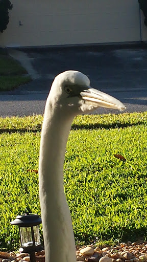 Park «Boca Ciega Millennium Park», reviews and photos, 12410 74th Ave N, Seminole, FL 33772, USA