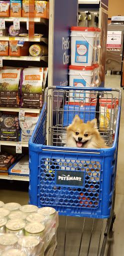 Pet Supply Store «PetSmart», reviews and photos, 12341 Seal Beach Blvd, Seal Beach, CA 90740, USA