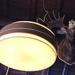 Photo n°2 de l'avis de Fabio.a fait le 12/02/2022 à 14:25 sur le  Ristorante Malga Montagnoli à Madonna di Campiglio