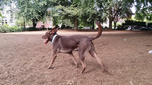 Park «Wallace City Park», reviews and photos, 1600 NW 25th Ave, Portland, OR 97210, USA