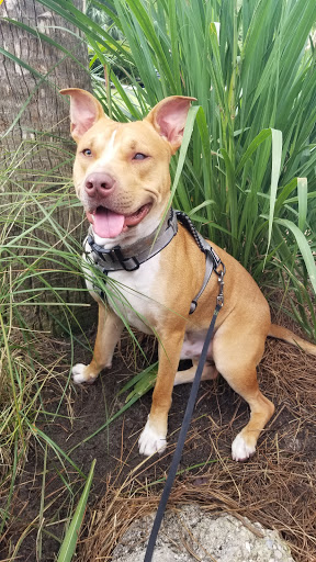 Canoe & Kayak Rental Service «Wekiva Island», reviews and photos, 1014 Miami Springs Dr, Longwood, FL 32779, USA