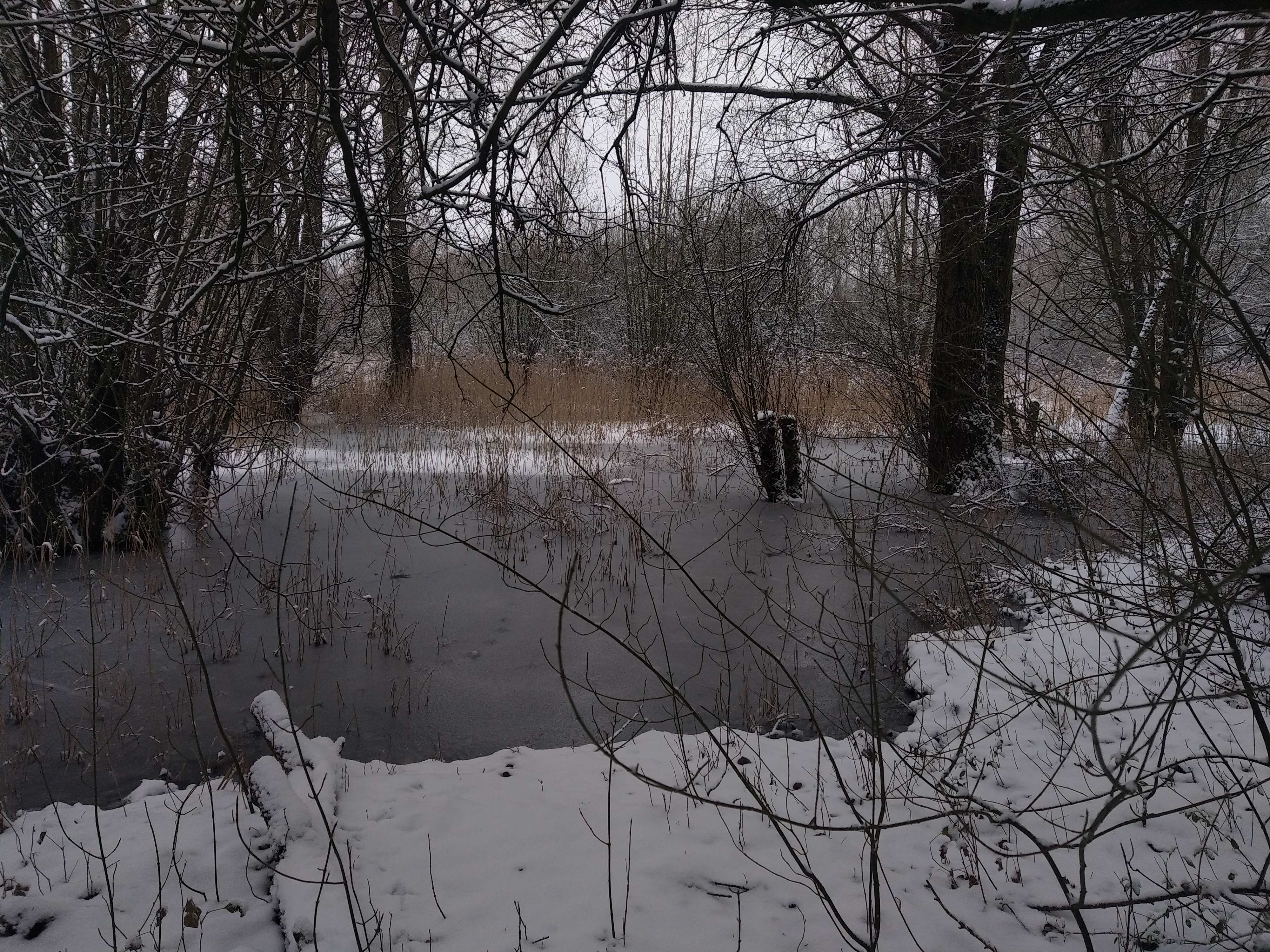 Photo n° 5 de l'avis de Perrine.e fait le 17/01/2024 à 17:53