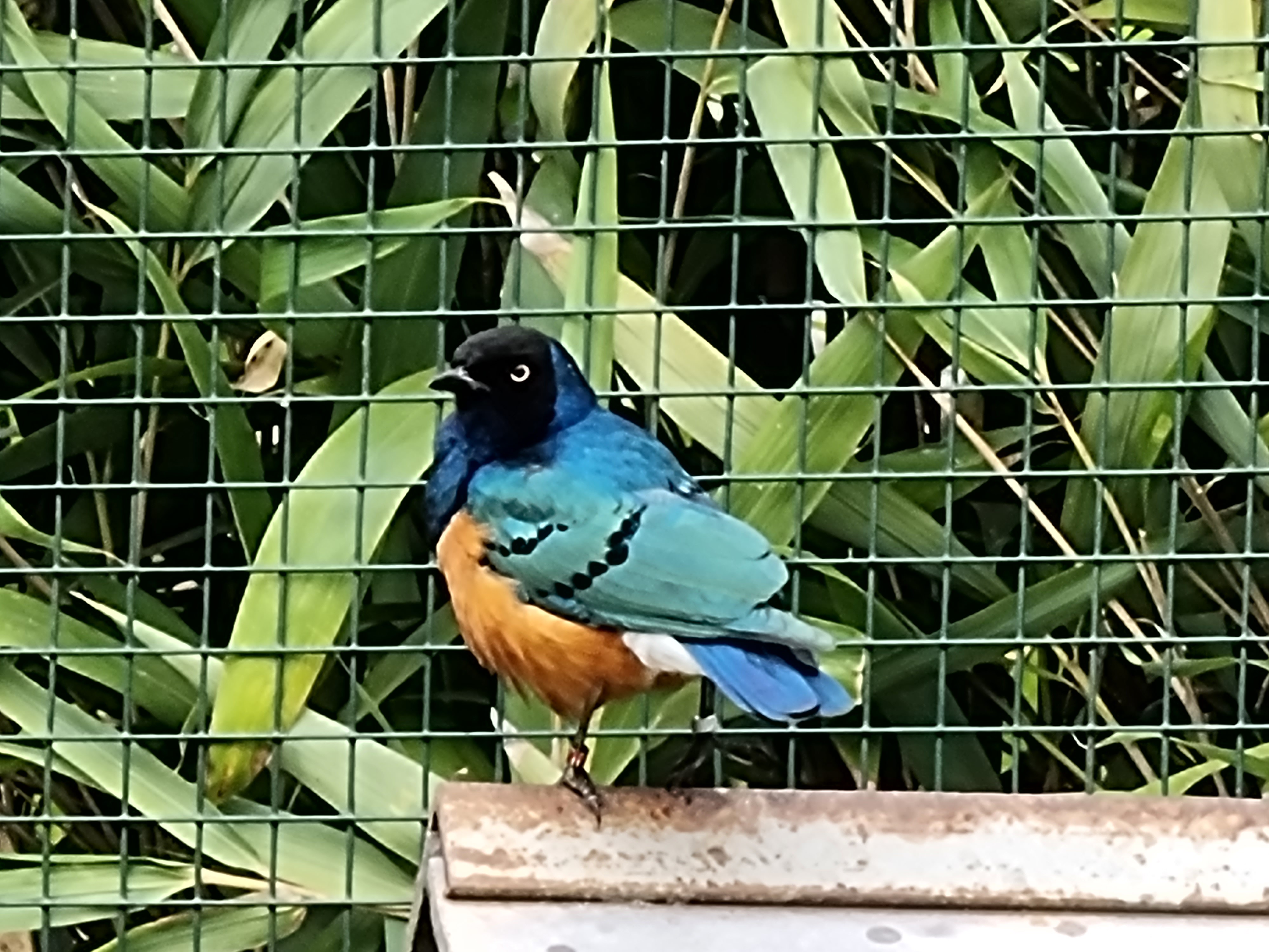 Photo n° 17 de l'avis de Noel.l fait le 12/04/2022 à 13:30