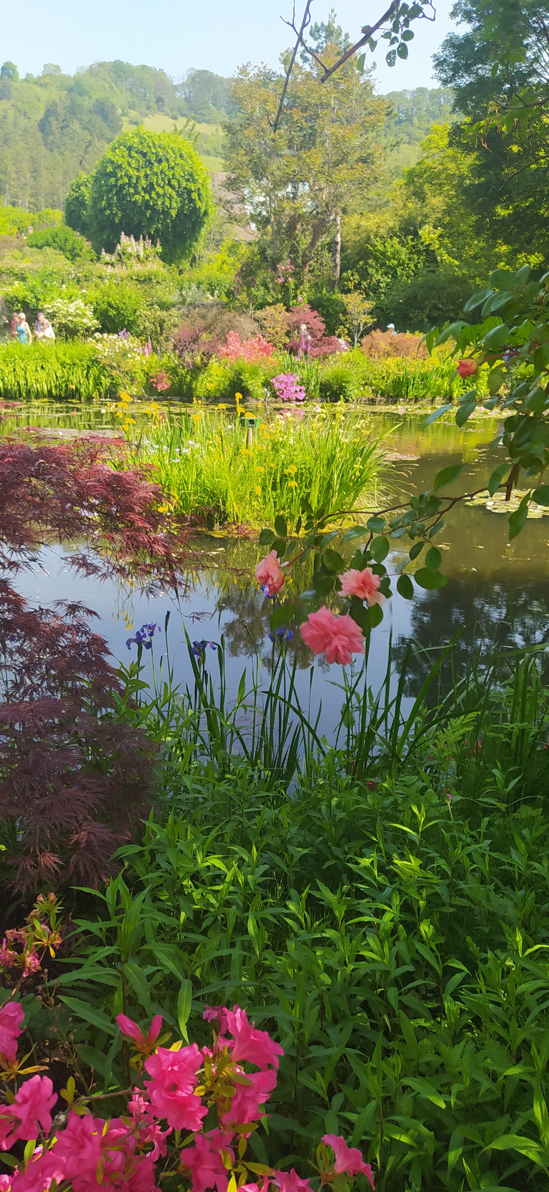 Photo n° 8 de l'avis de Beatrice.o fait le 30/05/2023 à 07:55