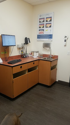 Pet Supply Store «PetSmart», reviews and photos, 2000 Clements Bridge Rd, Woodbury, NJ 08096, USA