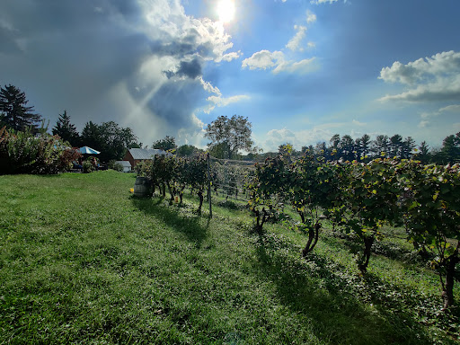 Vineyard «Elk Run Vineyards», reviews and photos, 15113 Liberty Rd, Mt Airy, MD 21771, USA