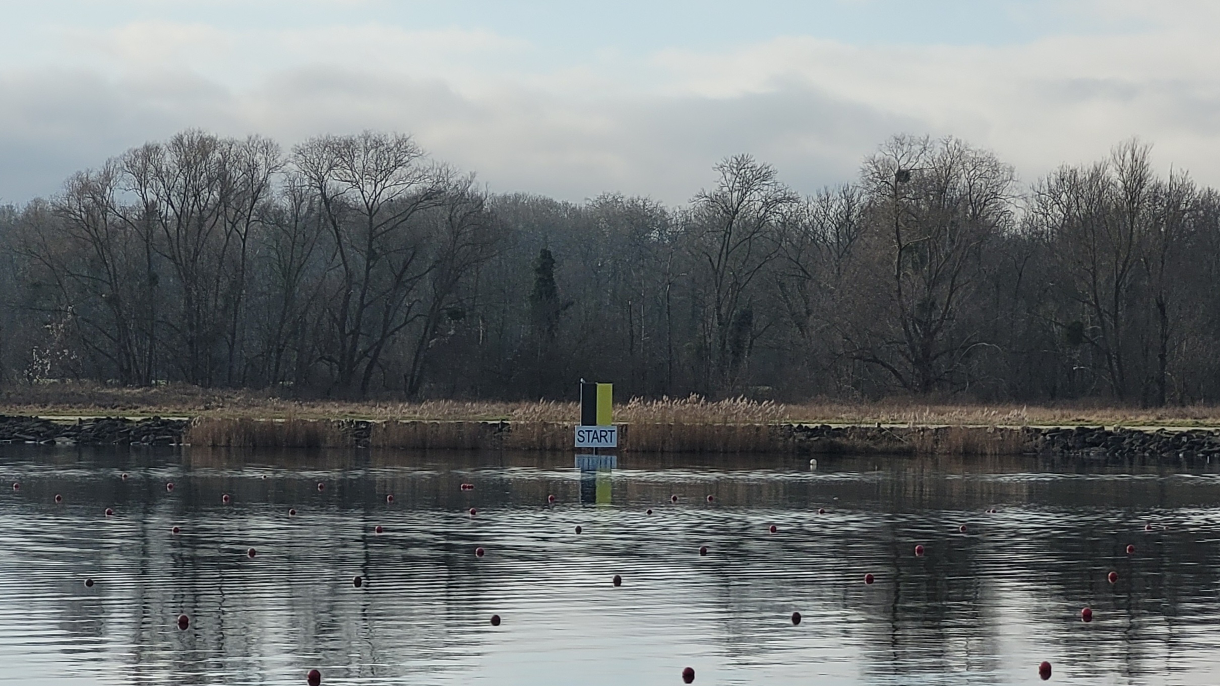 Photo n° 6 de l'avis de Alain.o fait le 31/01/2024 à 16:44