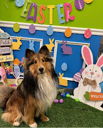 Hounds Town Denver West - Arvada - Photo 9 - Car repair in Wheat Ridge, CO, Arvada