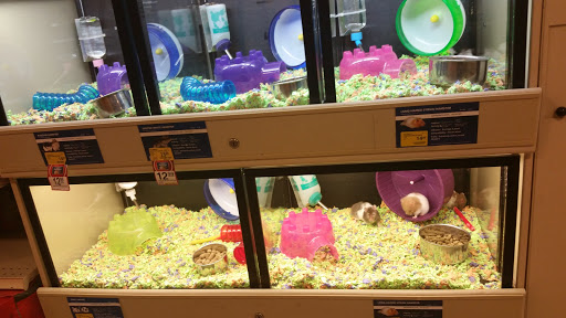 Pet Supply Store «PetSmart», reviews and photos, 5722 Fairmont Pkwy, Pasadena, TX 77505, USA