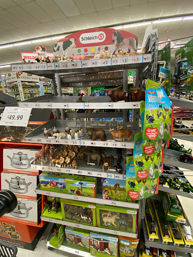 Home Improvement Store «Tractor Supply Co.», reviews and photos, 4267 13th St, St Cloud, FL 34769, USA