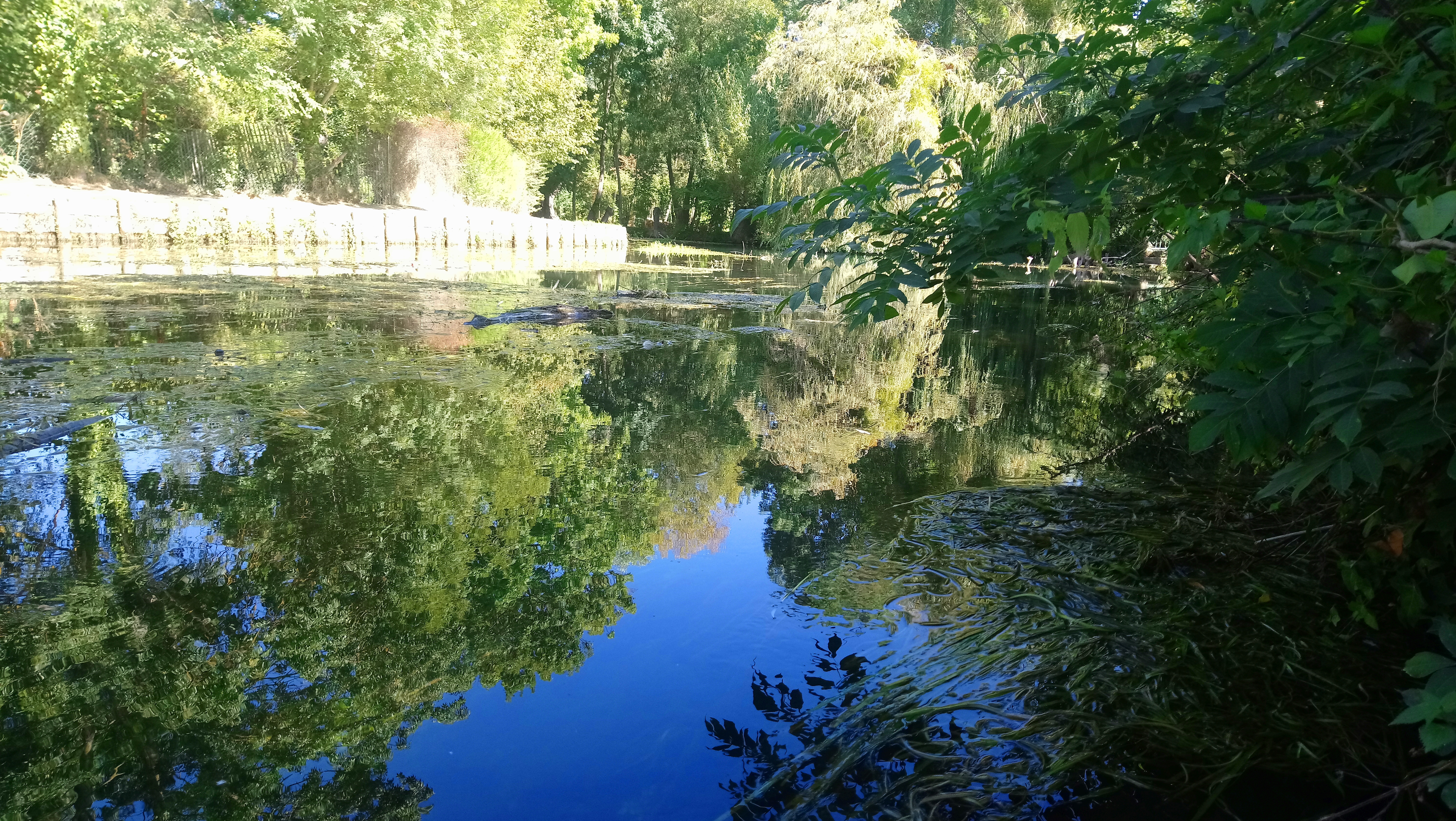 Photo n° 2 de l'avis de Nicolas.. fait le 11/09/2019 à 16:02