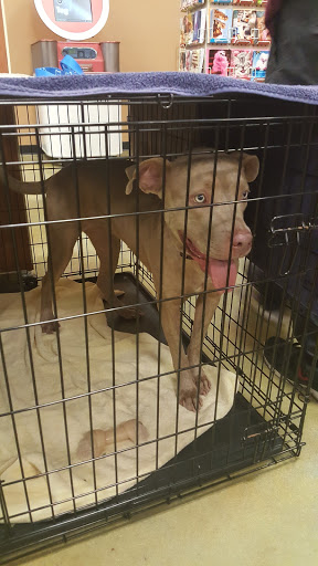 Pet Supply Store «PetSmart», reviews and photos, 601 Centerview Blvd, Kissimmee, FL 34741, USA