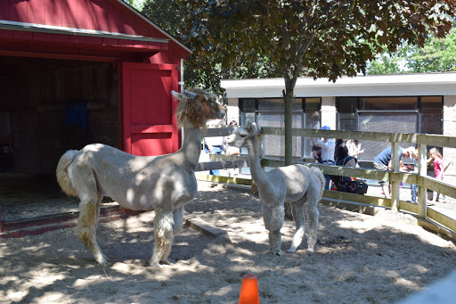 Wildlife Park «Wildlife & Ecology Center», reviews and photos, 249 Buckley Rd, Holtsville, NY 11742, USA