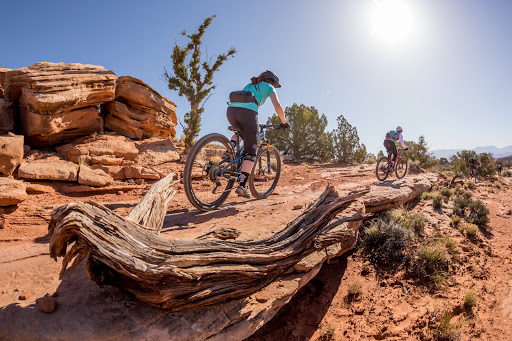 Bicycle Store «Go-Ride Bike Shop», reviews and photos, 3232 400 E, Salt Lake City, UT 84115, USA