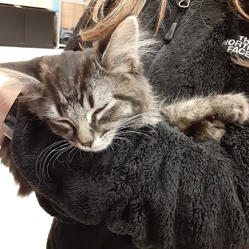 Pet Supply Store «PetSmart», reviews and photos, 3450 N Morrison Rd, Muncie, IN 47304, USA