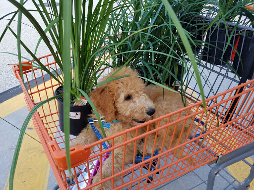 Home Improvement Store «The Home Depot», reviews and photos, 1694 W Indiantown Rd, Jupiter, FL 33458, USA