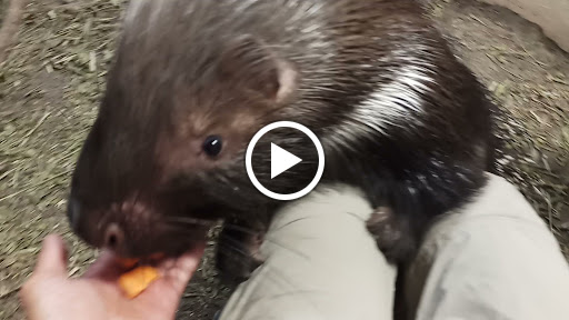 Aquarium «SeaQuest Interactive Aquarium», reviews and photos, 1201 N Hill Field Rd #1072, Layton, UT 84041, USA