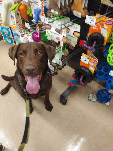 Pet Supply Store «Petco Animal Supplies», reviews and photos, 205 Palm Bay Rd NE #155, West Melbourne, FL 32904, USA