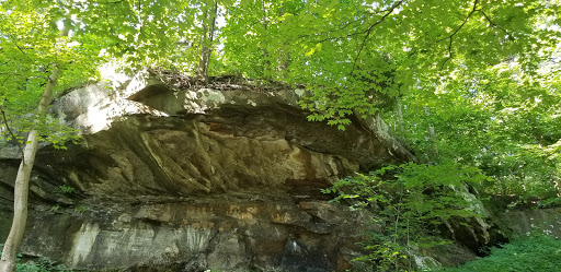 Tourist Attraction «Brandywine Gorge Trail», reviews and photos, 8176 Brandywine Rd, Sagamore Hills, OH 44067, USA
