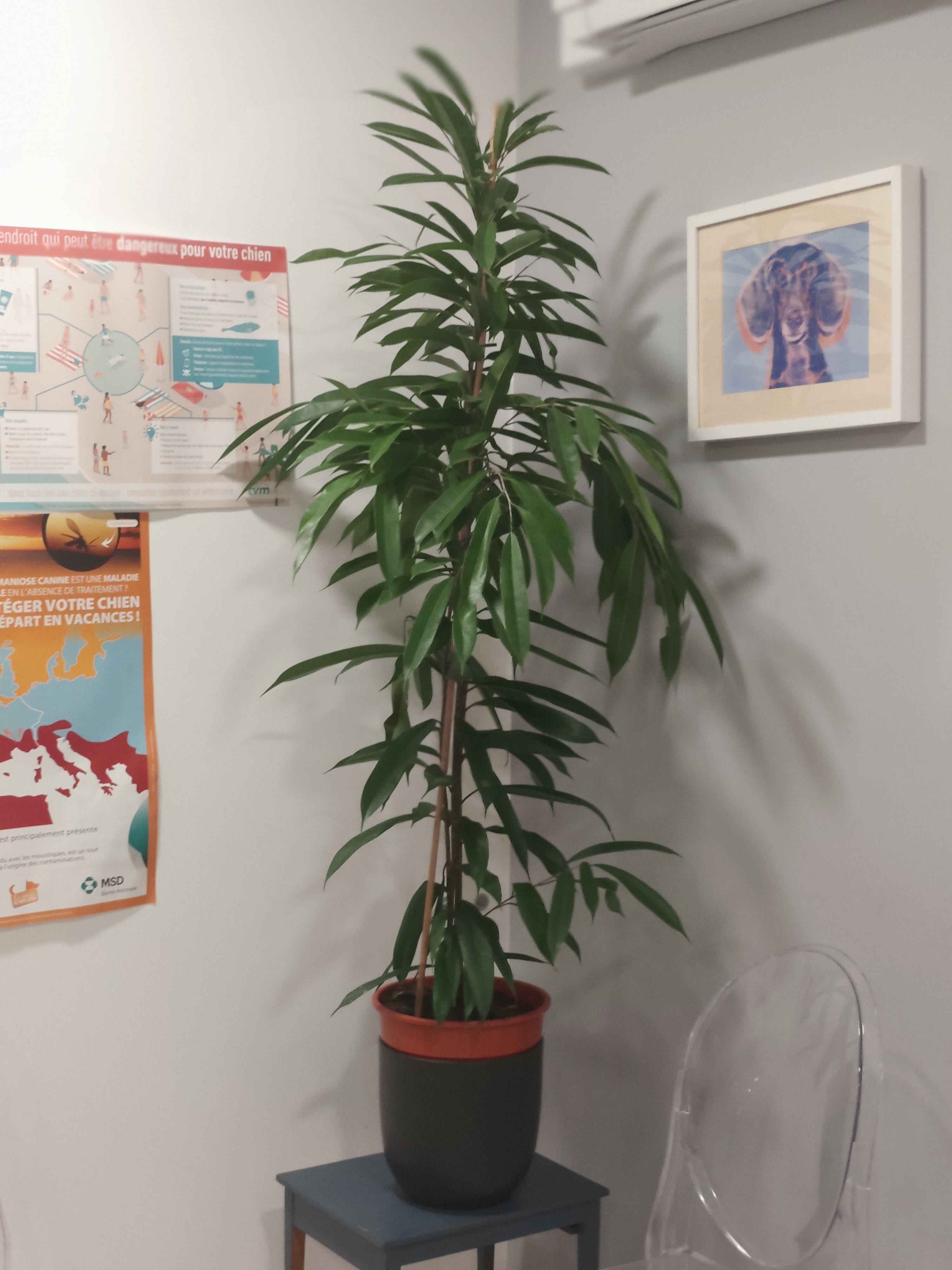 Photo n° 1 de l'avis de Clinique.� fait le 23/10/2023 à 10:05