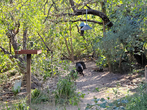 Park «Hugh Ramsey Nature Park», reviews and photos, 1000 TX-499 Loop, Harlingen, TX 78550, USA