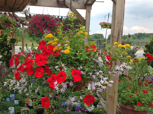 Plant Nursery «A Growing Concern Garden Center», reviews and photos, 1707 Spartanburg Hwy, Hendersonville, NC 28792, USA