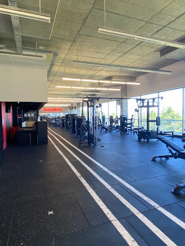 Comentarii opinii despre Kalorias Marco de Canaveses