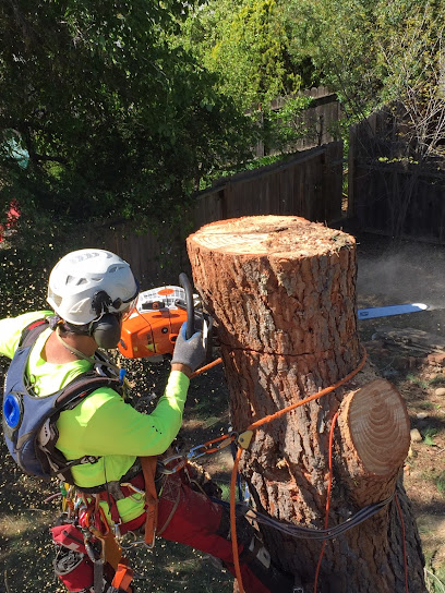 All In One Tree Service