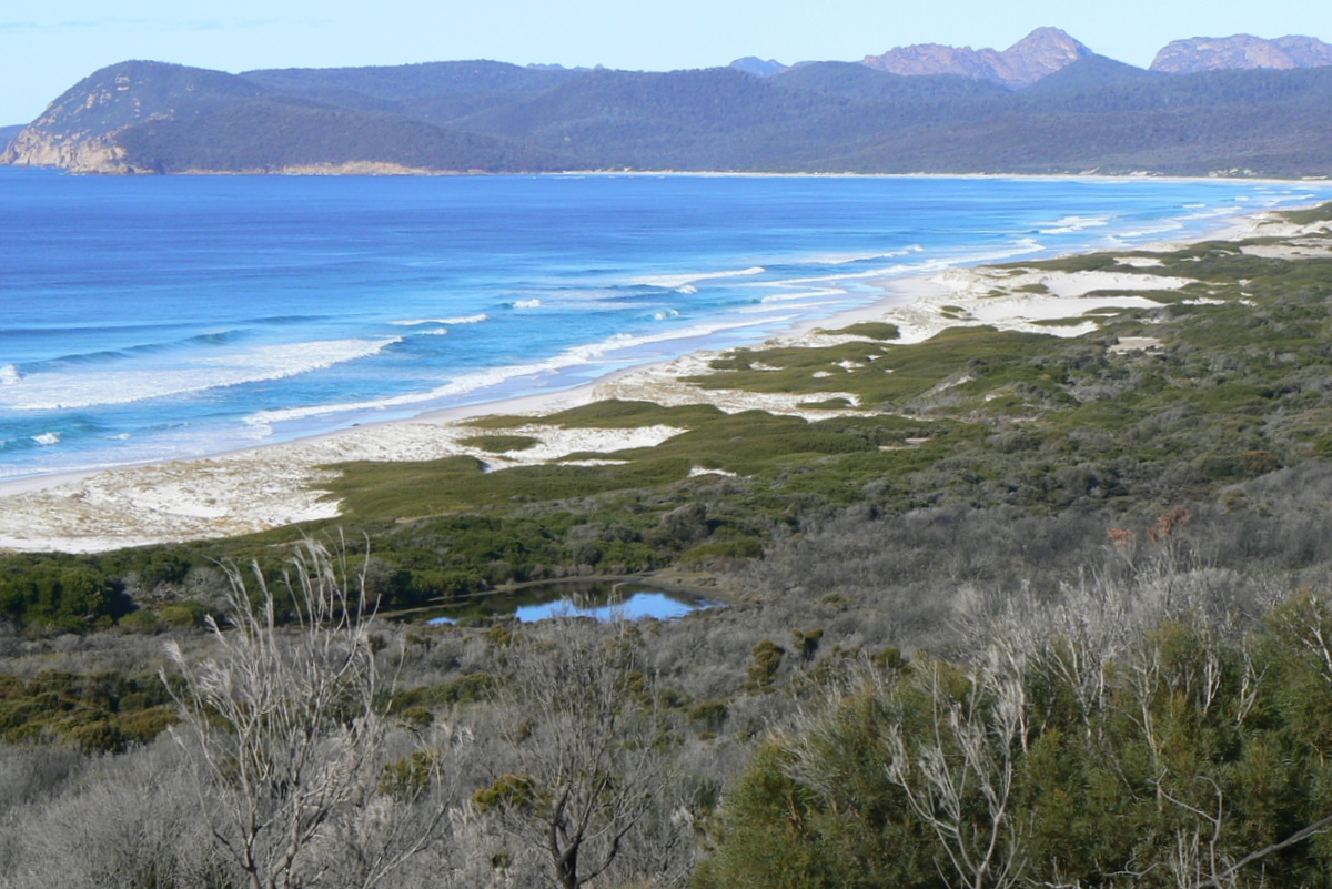 Photo de Friendly Beach - endroit populaire parmi les connaisseurs de la détente