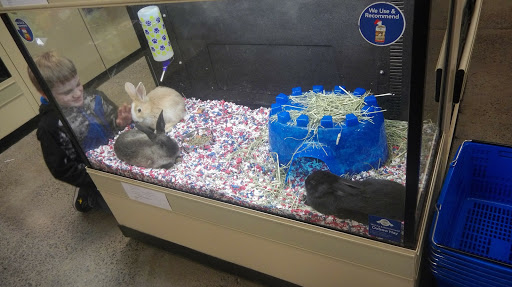 Pet Supply Store «PetSmart», reviews and photos, 3401 Erie Blvd E, Syracuse, NY 13214, USA