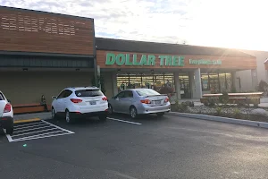 Dollar Tree image