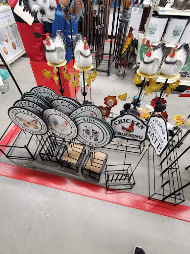 Home Improvement Store «Tractor Supply Co.», reviews and photos, 8135 Brookville Rd, Indianapolis, IN 46239, USA