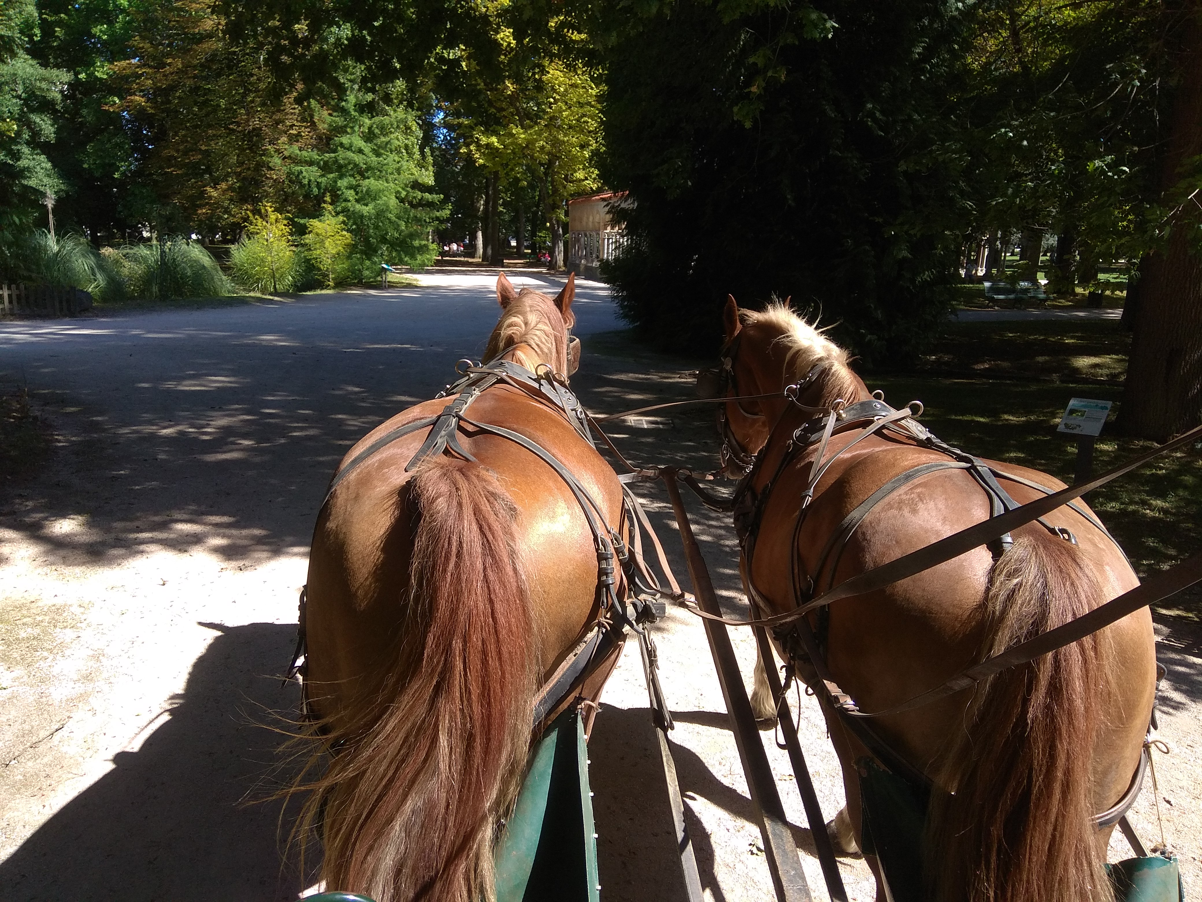 Photo n° 1 de l'avis de Andreia.o fait le 30/11/2019 à 15:58