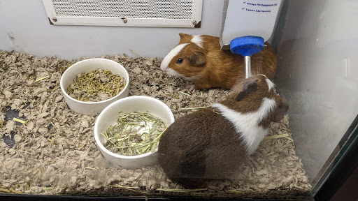 Pet Supply Store «Petco Animal Supplies», reviews and photos, 10 Waterfront Pl, Port Chester, NY 10573, USA