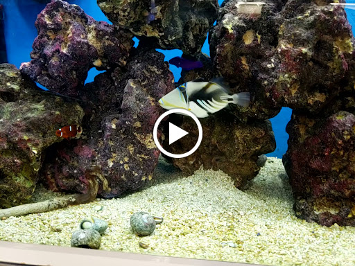 Pet Supply Store «Petco Animal Supplies», reviews and photos, 693 Middletown Warwick Rd, Middletown, DE 19709, USA