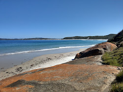 Muttonbird Beach'in fotoğrafı vahşi alan