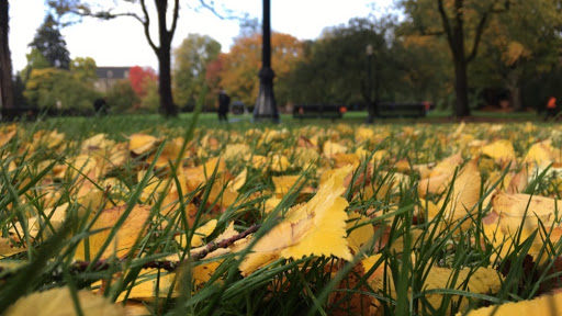 Student Union «Memorial Union», reviews and photos, 2501 SW Jefferson Way, Corvallis, OR 97331, USA