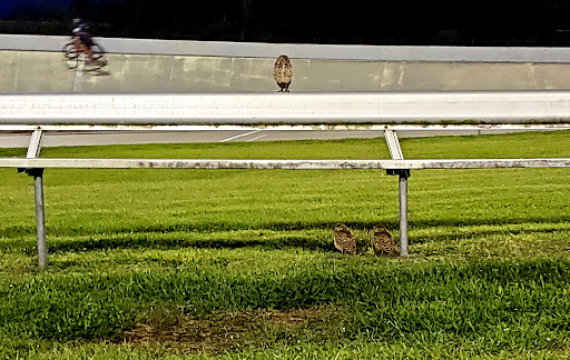 Park «Brian Piccolo Sports Park & Velodrome», reviews and photos, 9501 Sheridan St, Hollywood, FL 33024, USA