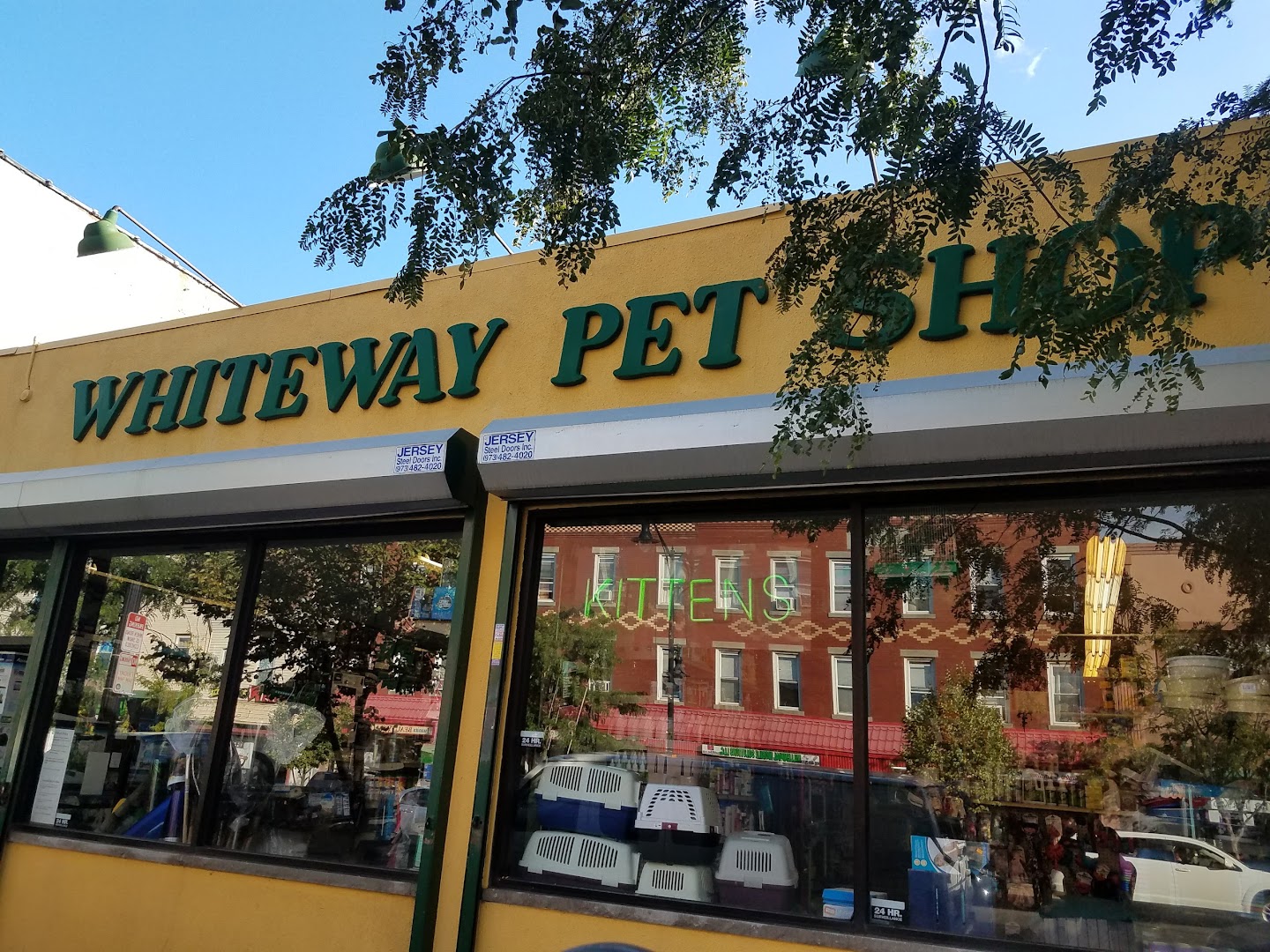 Whiteway Pet Shop