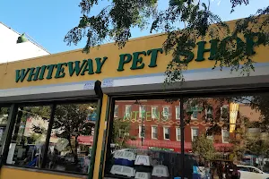 Whiteway Pet Shop image