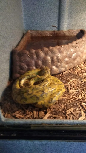 Pet Store «Wildside Pets», reviews and photos, 1042 N Higley Rd #105, Mesa, AZ 85205, USA