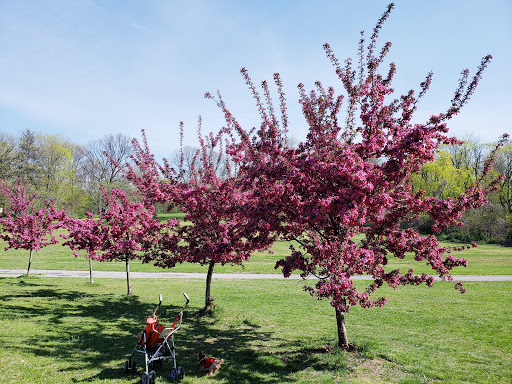 Park «Crocheron Park», reviews and photos, 214-41 34th Ave, Bayside, NY 11361, USA