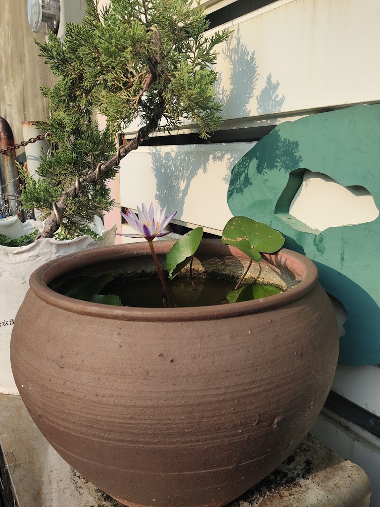 茶青門冷飲專門店 的照片